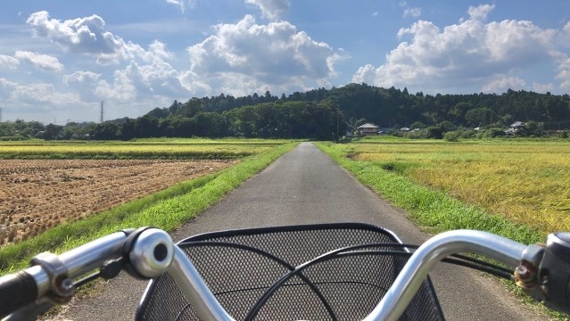 ママチャリは長距離でも大丈夫？実際に走ってみると。