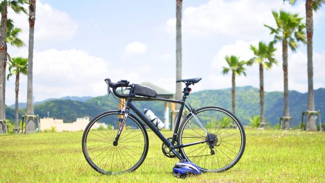 南の島にある木と自転車