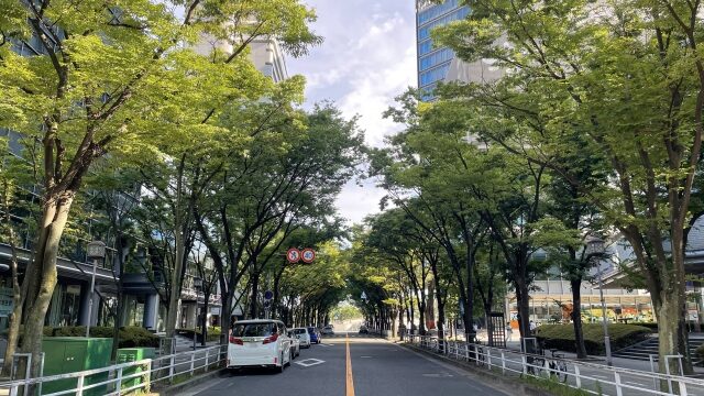 道路脇に車が停まっている様子