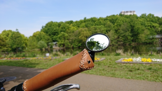 良い景色とバーエンドに取付けた自転車ミラー