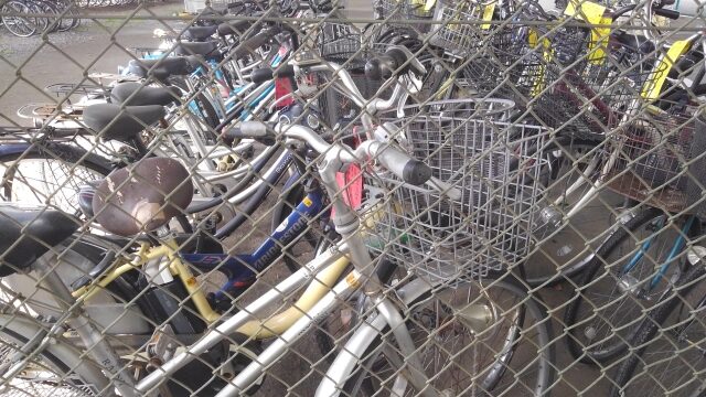 撤去されたたくさんの自転車